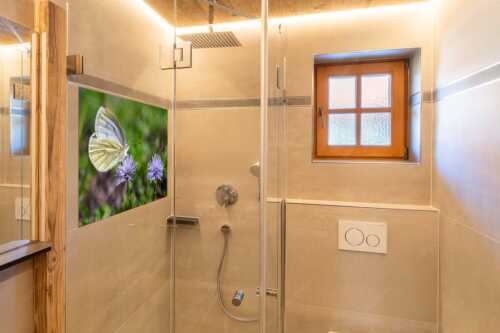 Schmetterling auf einer Herzblättrigen Kugelblume im Karwendeltal - Schmetterling - Glasbild - Größe ca. 120x80cm, Seitenverhältnis 3:2 - Großer Kohlweißling - weitere Infos unter https://www.kriner-weiermann.de