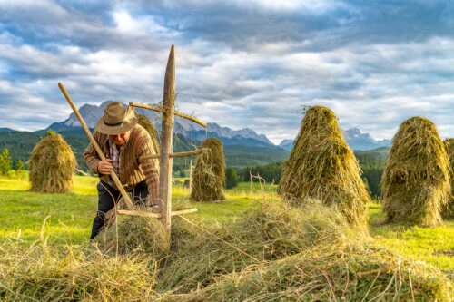 Traditionelle Heuarbeit im Werdenfelser Land - Stankern - Seitenverhältnis 3:2 - Wiesmahd Heustanker - weitere Infos unter https://www.kriner-weiermann.de