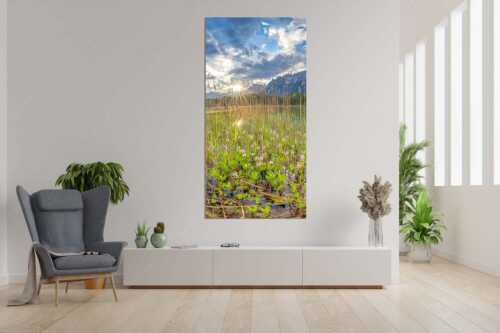 Die zarten Blüten des Fieberklees sind mit die ersten Booten im Frühling - Zartes Wesen - Wandbild - Größe ca. 90x180cm, Seitenverhältnis 1:2 - Lautersee mit Karwendel - weitere Infos unter https://www.kriner-weiermann.de