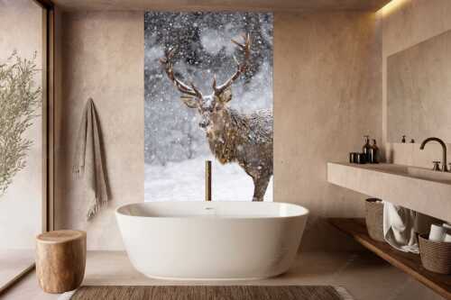 Hirsch an der Wildfütterung - Der Hirsch - Wandbild - Größe ca. 160x240cm, Seitenverhältnis 2:3 - Rotwild im Estergebirge - weitere Infos unter https://www.kriner-weiermann.de