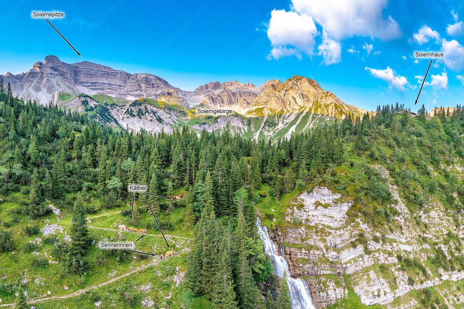 Sennerinnen treiben Kälber auf dem Pfad vom Hundstall zu den Soiernseen - Viehtrieb - 