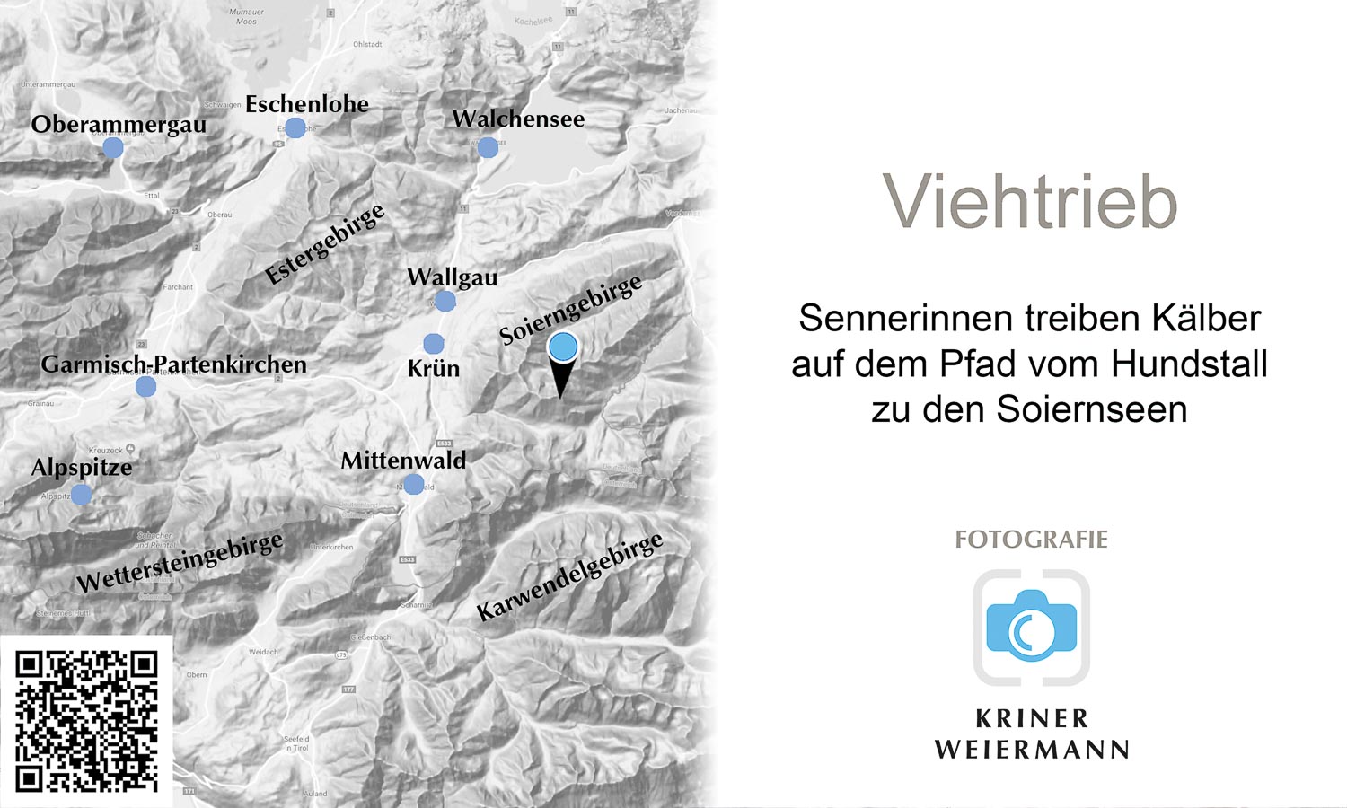 Sennerinnen treiben Kälber auf dem Pfad vom Hundstall zu den Soiernseen - Viehtrieb - 