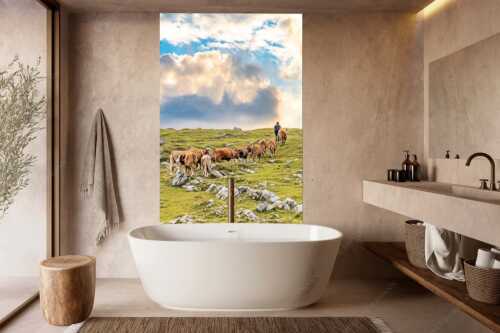 Hirte mit Jungvieh auf der Kuhalm im Estergebirge - Umidreim - Wandbild - Größe ca. 160x240cm, Seitenverhältnis 2:3 - Hirte mit Kälbern auf der Alm - weitere Infos unter https://www.kriner-weiermann.de