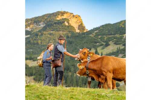 Hirte und Tochter füttern Murnau-Werdenfelser Rinder mit Miad auf der Kuhalm - Ums Vieh schaun III - Seitenverhältnis 1:1 - Hirten Miad Estergebirge Hohe Kisten - weitere Infos unter https://www.kriner-weiermann.de