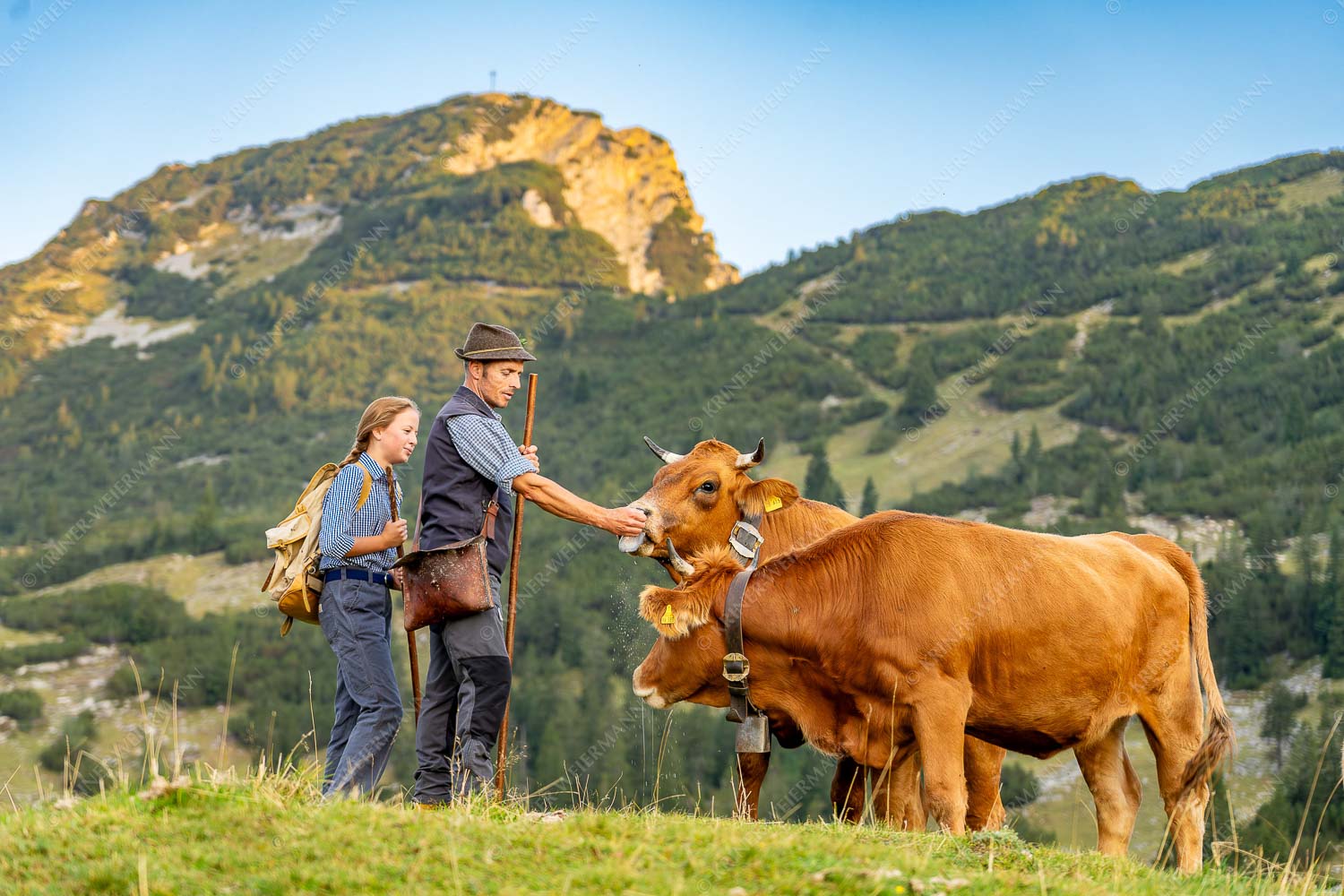 Hirte und Tochter füttern Murnau-Werdenfelser Rinder mit Miad auf der Kuhalm - Ums Vieh schaun III - Seitenverhältnis 3:2 - Hirten Miad Estergebirge Hohe Kisten - weitere Infos unter https://www.kriner-weiermann.de