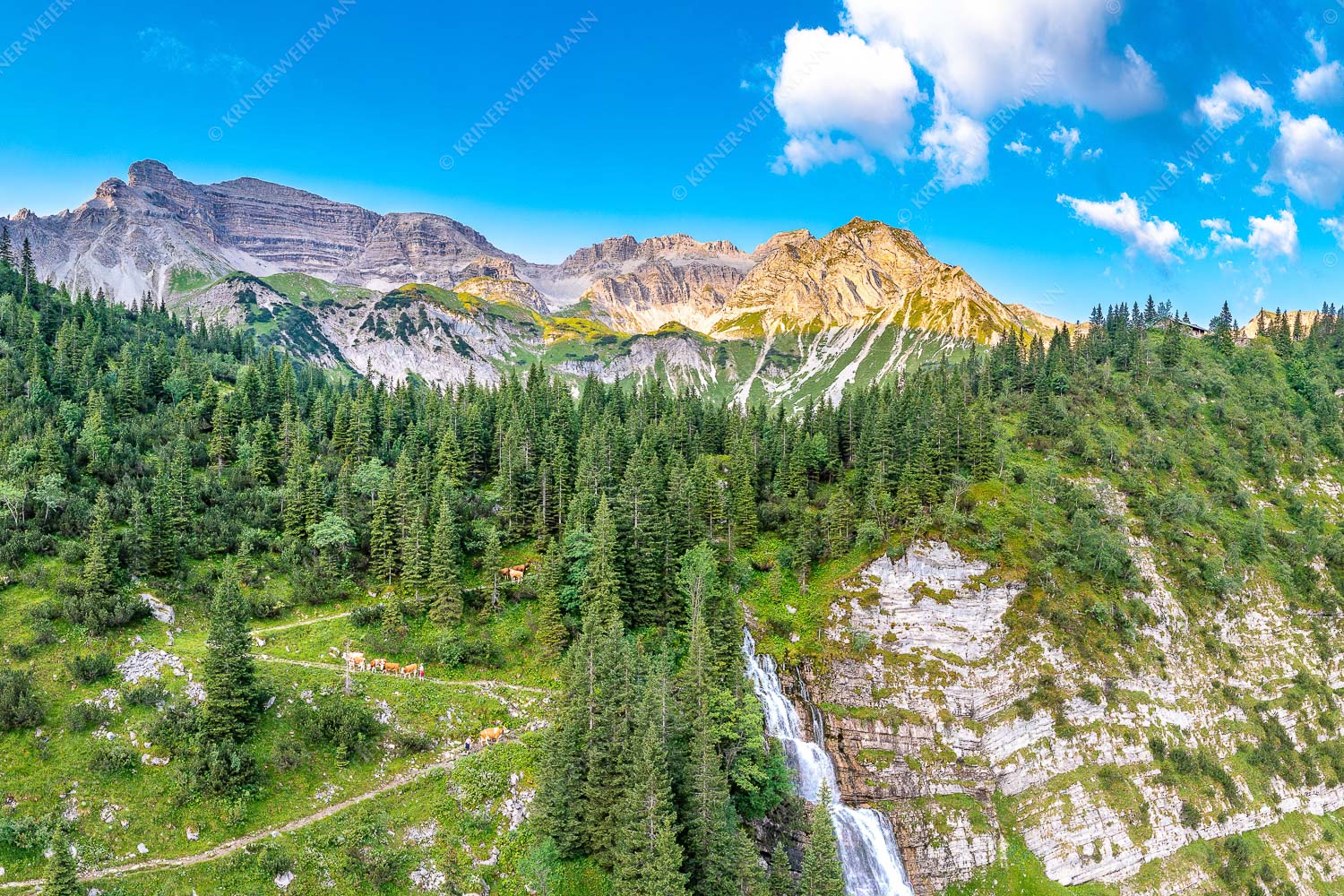 Sennerinnen treiben Kälber auf dem Pfad vom Hundstall zu den Soiernseen - Viehtrieb - Seitenverhältnis 3:2 - Soiern Soiernspitze - weitere Infos unter https://www.kriner-weiermann.de