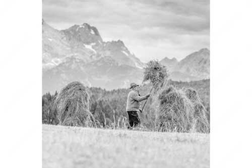 Stanker vor Zugspitzmassiv mit Hochblassen, Alpspitze, Zugspitze und Waxenstein - Wia friahra - Seitenverhältnis 1:1 - Heuarbeit Heustankern - weitere Infos unter https://www.kriner-weiermann.de
