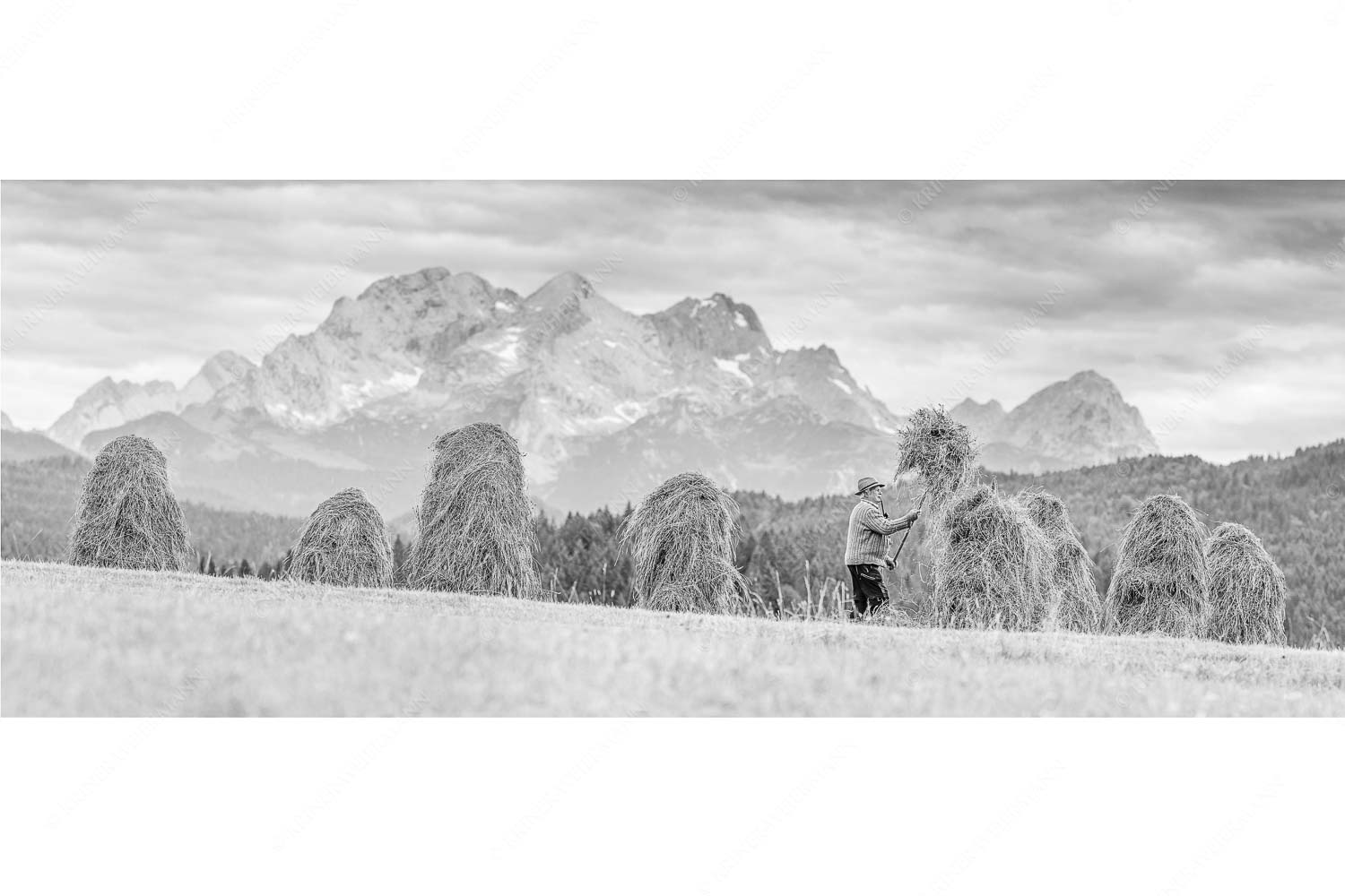 Stanker vor Zugspitzmassiv mit Hochblassen, Alpspitze, Zugspitze und Waxenstein - Wia friahra - Seitenverhältnis 2,5:1 - Heuarbeit Heustankern - weitere Infos unter https://www.kriner-weiermann.de