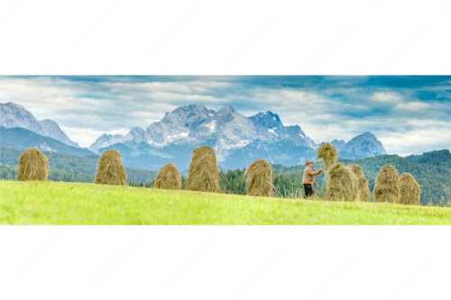 Stanker vor Zugspitzmassiv mit Hochblassen, Alpspitze, Zugspitze und Waxenstein - Wia friahra - Seitenverhältnis 3:1 - Heuarbeit Heustankern - weitere Infos unter https://www.kriner-weiermann.de