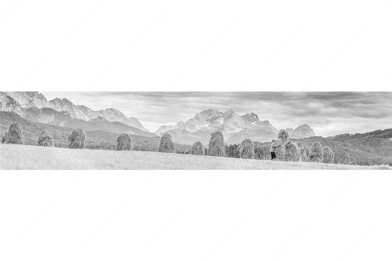 Wia friahra – Seitenverhältnis 5:1 — Heuarbeit Heustankern Stanker vor Zugspitzmassiv mit Hochblassen, Alpspitze, Zugspitze und Waxenstein
