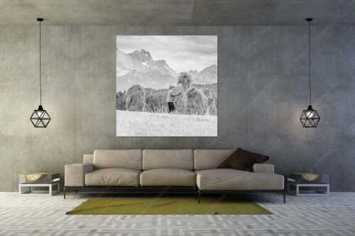 Stanker vor Zugspitzmassiv mit Hochblassen, Alpspitze, Zugspitze und Waxenstein - Wia friahra - Wandbild - Größe ca. 160x160cm, Seitenverhältnis 1:1 - Heuarbeit Heustankern - weitere Infos unter https://www.kriner-weiermann.de