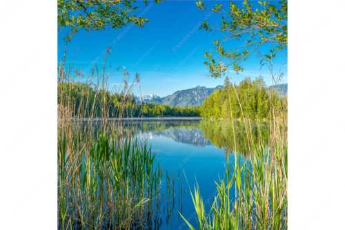 Ein wenig versteckt liegt der Moosbergsee im Murnauer Moos - Kleinod II - Seitenverhältnis 1:1 - Moosbergsee mit Zugspitze - weitere Infos unter https://www.kriner-weiermann.de