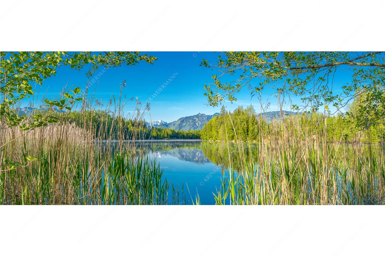 Kleinod II – Seitenverhältnis 2,5:1 — Moosbergsee mit Zugspitze Ein wenig versteckt liegt der Moosbergsee im Murnauer Moos