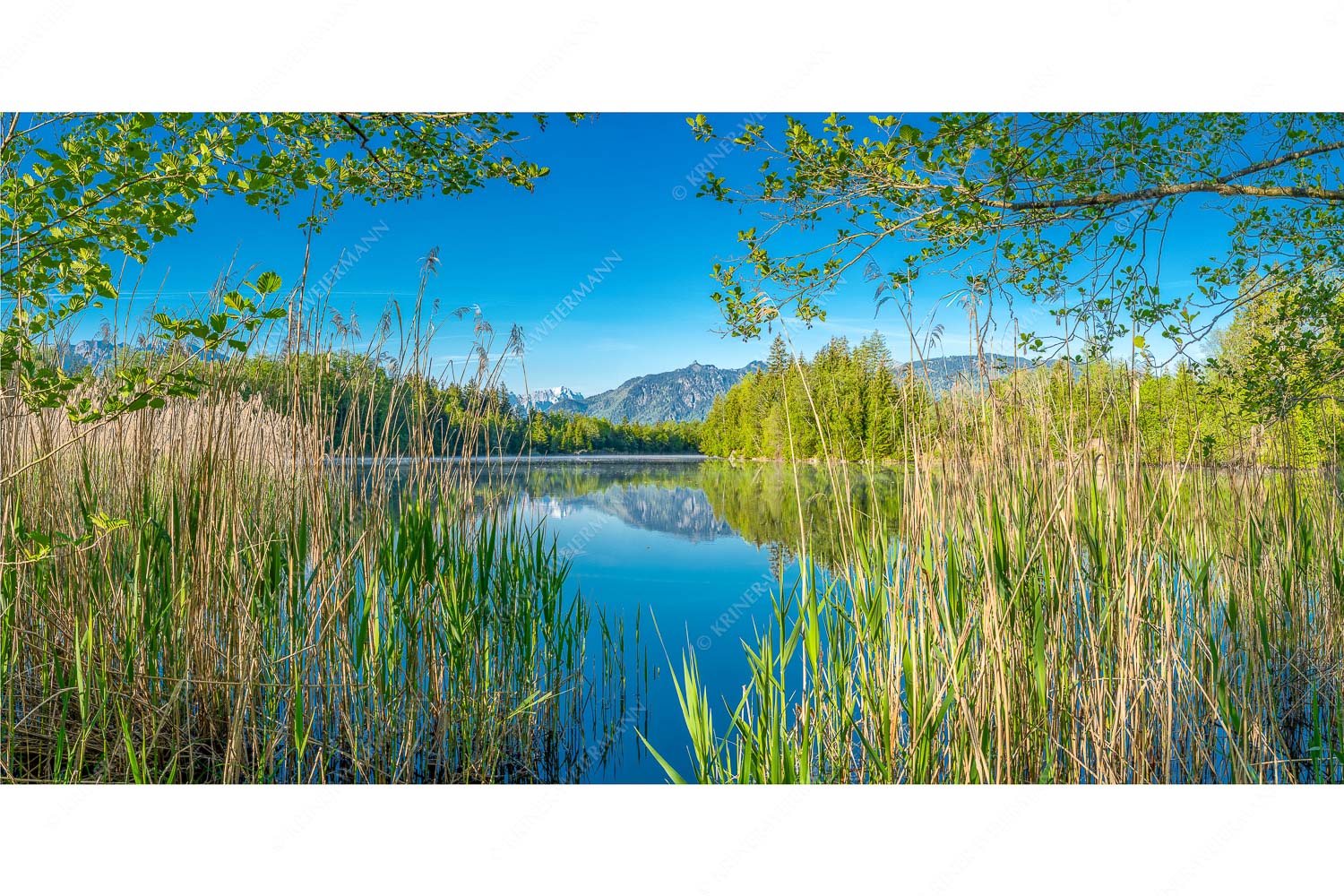 Kleinod II – Seitenverhältnis 2:1 — Moosbergsee mit Zugspitze Ein wenig versteckt liegt der Moosbergsee im Murnauer Moos