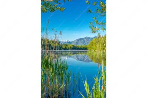 Ein wenig versteckt liegt der Moosbergsee im Murnauer Moos - Kleinod II - Seitenverhältnis 2:3 - Moosbergsee mit Zugspitze - weitere Infos unter https://www.kriner-weiermann.de
