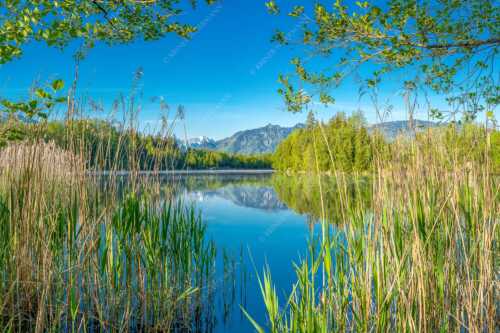 Ein wenig versteckt liegt der Moosbergsee im Murnauer Moos - Kleinod II - Seitenverhältnis 3:2 - Moosbergsee mit Zugspitze - weitere Infos unter https://www.kriner-weiermann.de