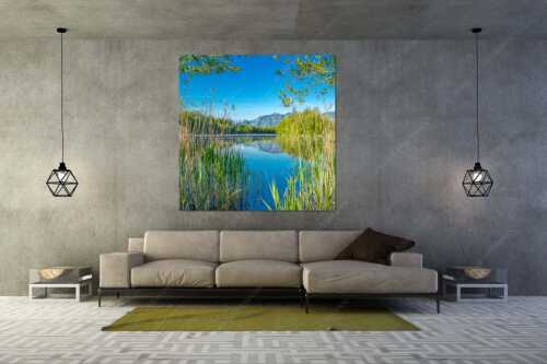 Ein wenig versteckt liegt der Moosbergsee im Murnauer Moos - Kleinod II - Wandbild - Größe ca. 160x160cm, Seitenverhältnis 1:1 - Moosbergsee mit Zugspitze - weitere Infos unter https://www.kriner-weiermann.de