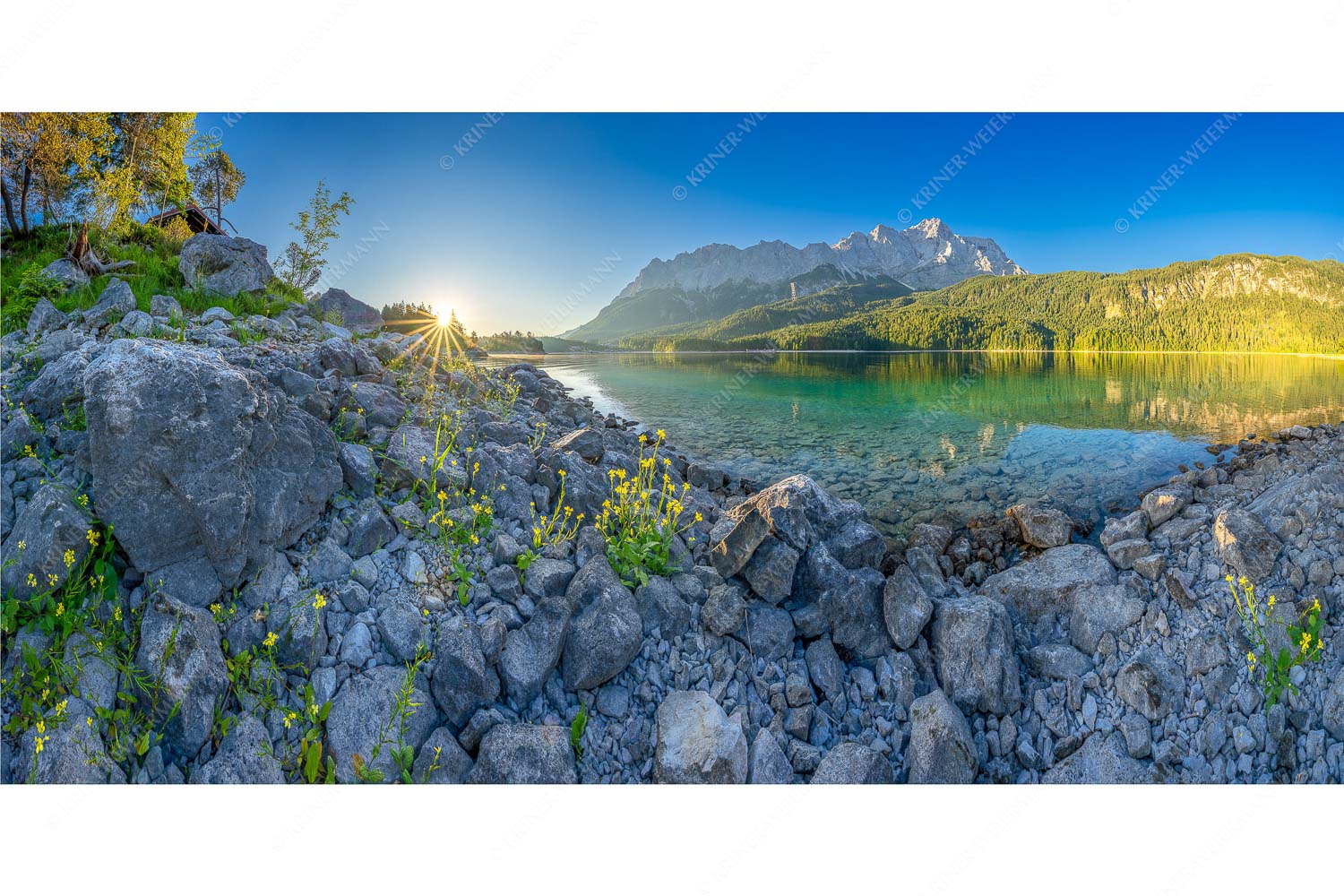 Idylle am Eibsee – Seitenverhältnis 2:1 — Eibsee Sonnenaufgang Zugspitze Sonnenaufgang am Eibsee mit Zugspitze und blühenden Wildblumen