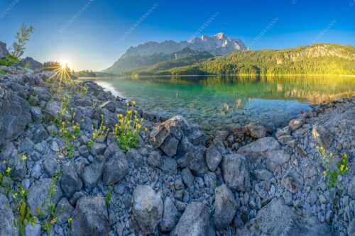 Sonnenaufgang am Eibsee mit Zugspitze und blühenden Wildblumen - Idylle am Eibsee - Seitenverhältnis 3:2 - Eibsee Sonnenaufgang Zugspitze - weitere Infos unter https://www.kriner-weiermann.de
