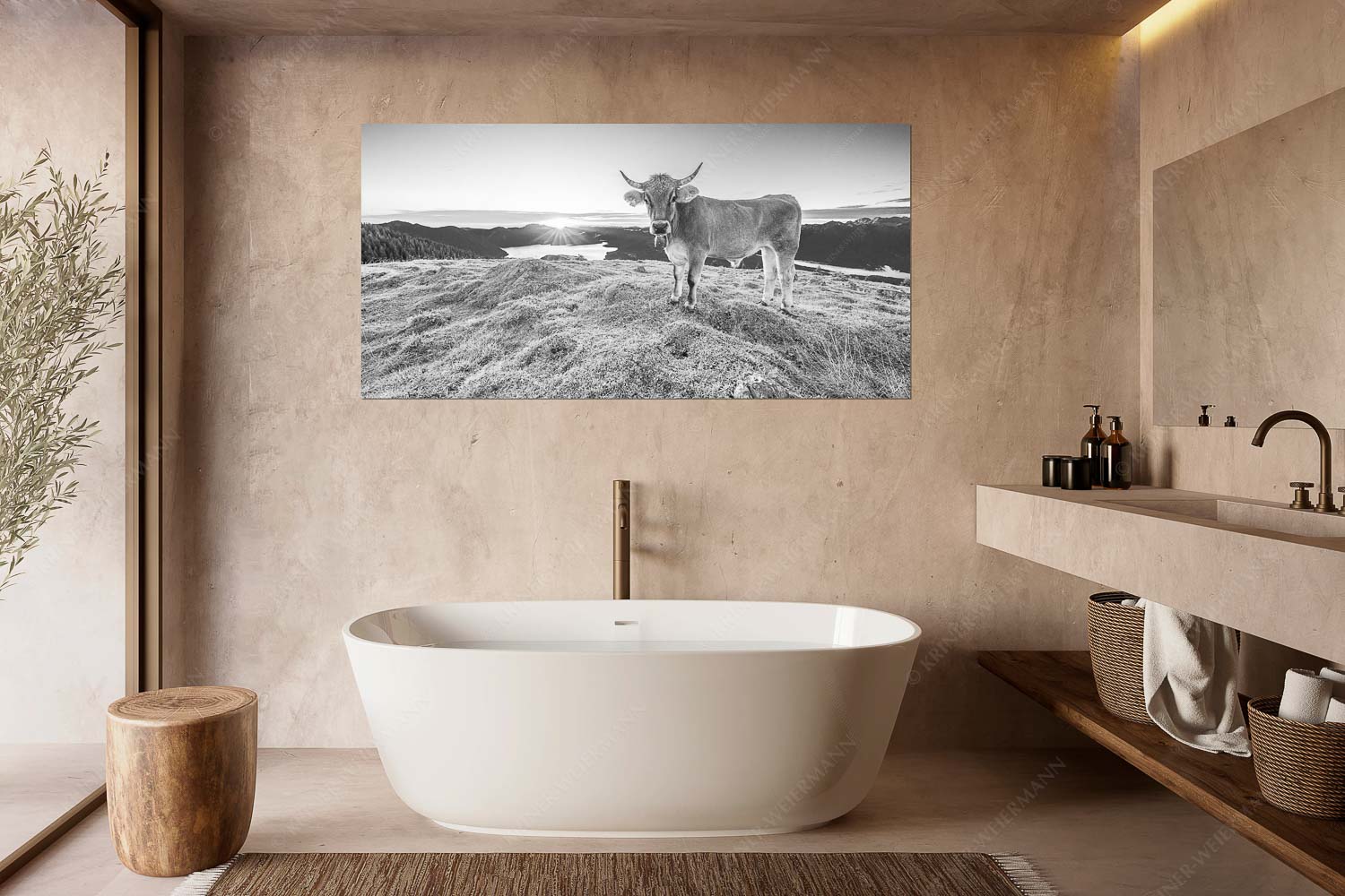 Tiroler Grauvieh auf der Sommerweide am Simetsberg im Estergebirge - Neugier - Wandbild - Größe ca. 180x90cm, Seitenverhältnis 2:1 - Almvieh am Simetsberg - weitere Infos unter https://www.kriner-weiermann.de