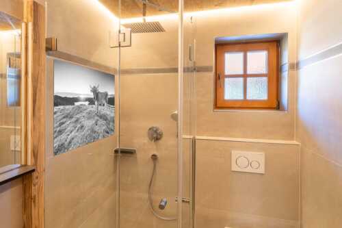 Tiroler Grauvieh auf der Sommerweide am Simetsberg im Estergebirge - Neugier - Glasbild - Größe ca. 120x80cm, Seitenverhältnis 3:2 - Almvieh am Simetsberg - weitere Infos unter https://www.kriner-weiermann.de