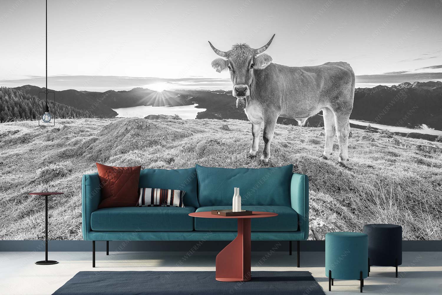 Neugier – Fototapete – Größe ca. 400x200cm, Seitenverhältnis 2:1 — Almvieh am Simetsberg Tiroler Grauvieh auf der Sommerweide am Simetsberg im Estergebirge - Neugier - Fototapete - Größe ca. 400x200cm, Seitenverhältnis 2:1 - Almvieh am Simetsberg - weitere Infos unter https://www.kriner-weiermann.de