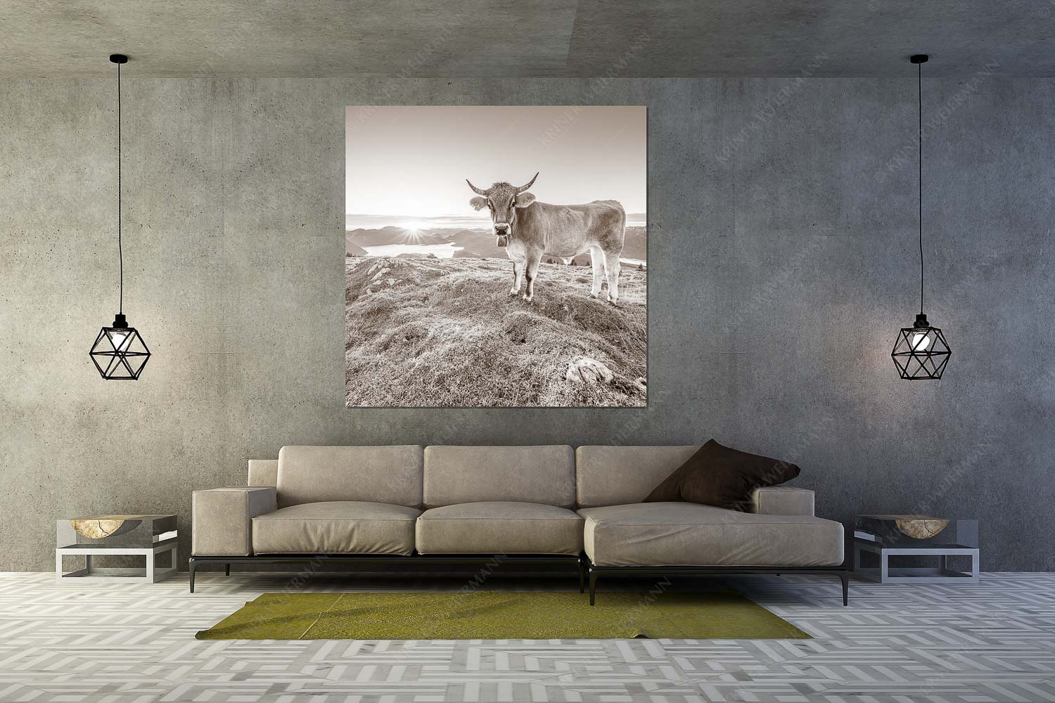 Tiroler Grauvieh auf der Sommerweide am Simetsberg im Estergebirge - Neugier - Wandbild - Größe ca. 160x160cm, Seitenverhältnis 1: - Almvieh am Simetsberg - weitere Infos unter https://www.kriner-weiermann.de