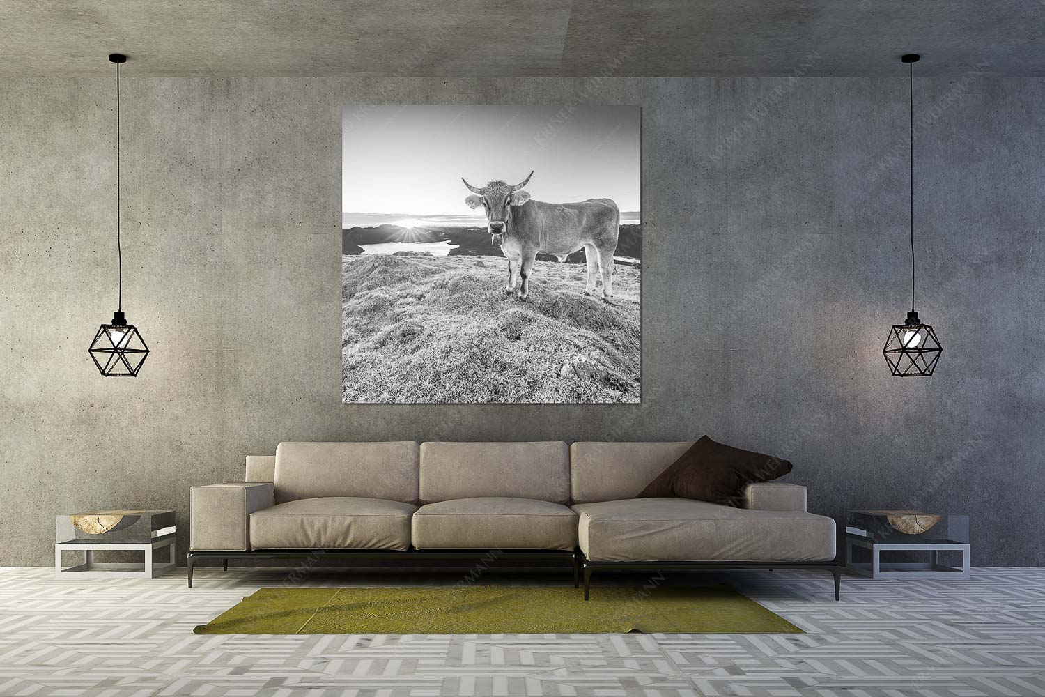 Tiroler Grauvieh auf der Sommerweide am Simetsberg im Estergebirge - Neugier - Wandbild - Größe ca. 160x160cm, Seitenverhältnis 1: - Almvieh am Simetsberg - weitere Infos unter https://www.kriner-weiermann.de