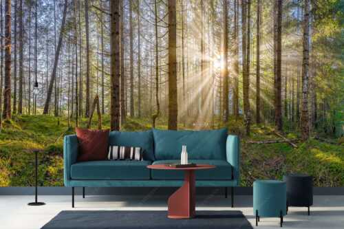 Mystischer Herbstwald im Morgenlicht mit Nebel und Sonnenstrahlen - Waldleuchten - Fototapete - Größe ca. 400x200cm, Seitenverhältnis 2:1 - Streiflicht Herbstwald - weitere Infos unter https://www.kriner-weiermann.de