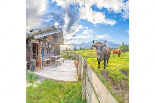 Malerische Almhütte bei Mittenwald mit Karwendel - Almbiente - Seitenverhältnis 1:1 - Mittenwald Alm Buckelwiesen Karwendel - weitere Infos unter https://www.kriner-weiermann.de