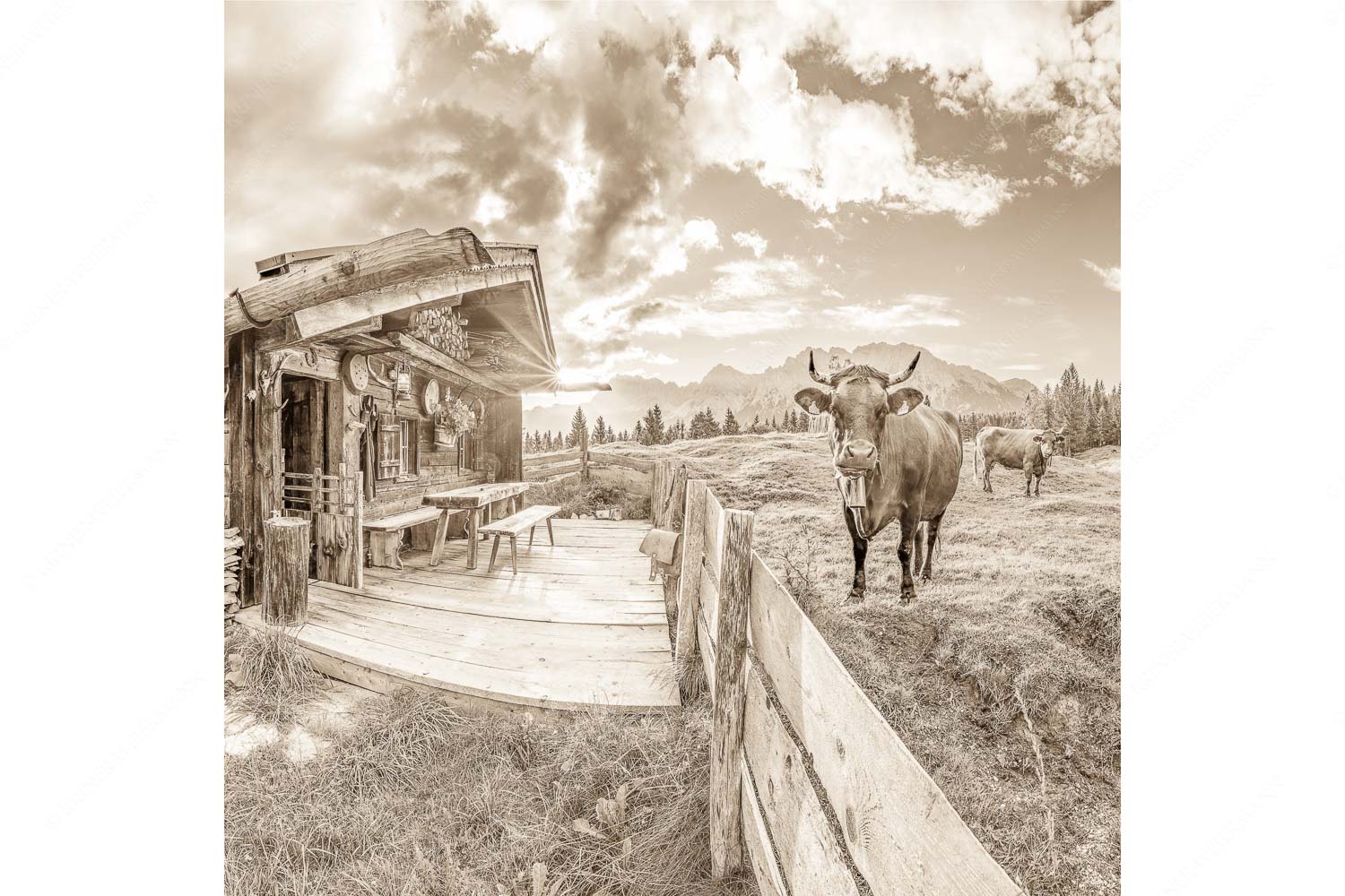 Malerische Almhütte bei Mittenwald mit Karwendel