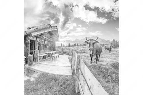 Malerische Almhütte bei Mittenwald mit Karwendel - Almbiente - Seitenverhältnis 1:1 - Mittenwald Alm Buckelwiesen Karwendel - weitere Infos unter https://www.kriner-weiermann.de