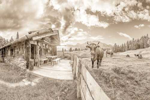 Malerische Almhütte bei Mittenwald mit Karwendel - Almbiente - Seitenverhältnis 3:2 - Mittenwald Alm Buckelwiesen Karwendel - weitere Infos unter https://www.kriner-weiermann.de