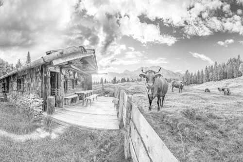 Malerische Almhütte bei Mittenwald mit Karwendel - Almbiente - Seitenverhältnis 3:2 - Mittenwald Alm Buckelwiesen Karwendel - weitere Infos unter https://www.kriner-weiermann.de