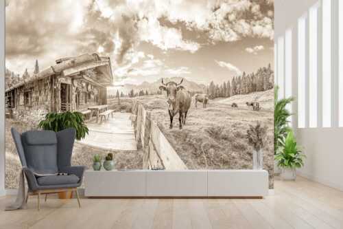 Malerische Almhütte bei Mittenwald mit Karwendel - Almbiente - Fototapete - Größe ca. 300x200cm, Seitenverhältnis 3:2 - Mittenwald Alm Buckelwiesen Karwendel - weitere Infos unter https://www.kriner-weiermann.de