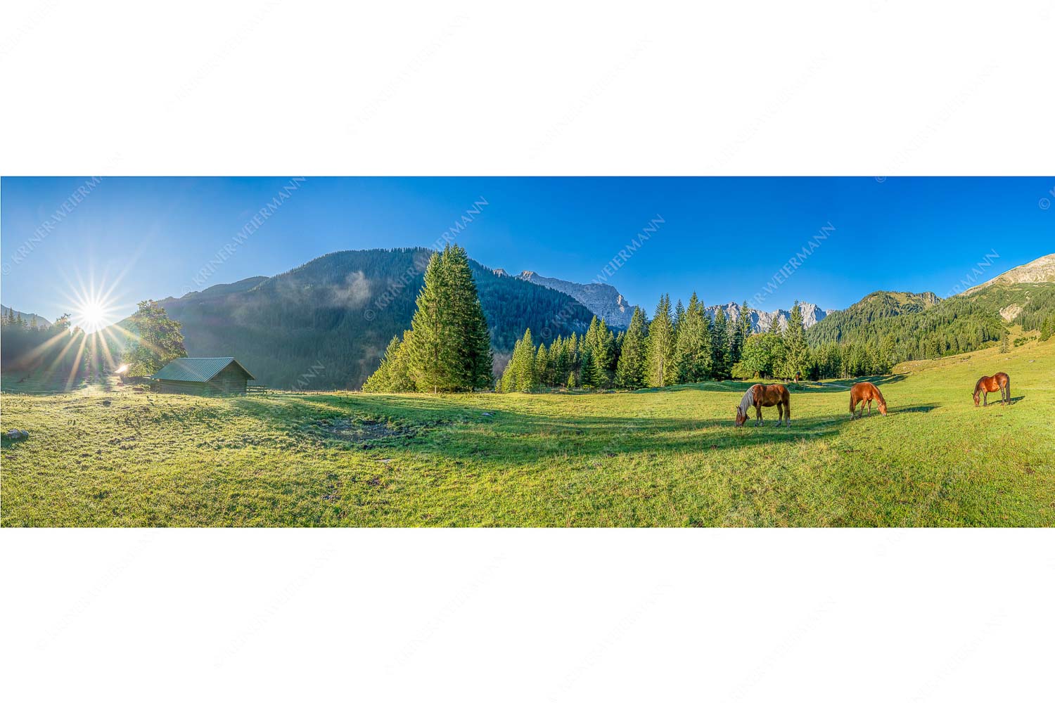 Pferde auf der Brandlealm mit Soiernspitze und Karwendelgebirge - Almharmonie - Seitenverhältnis 3:1 - Pferde Brandlealm Karwendel - weitere Infos unter https://www.kriner-weiermann.de