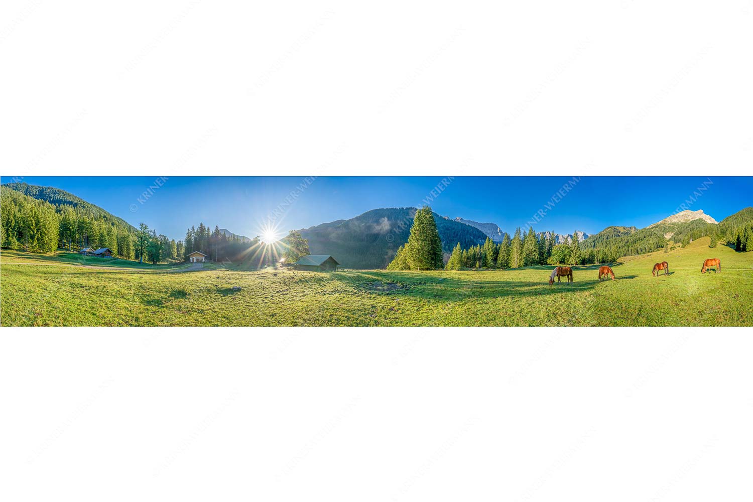 Pferde auf der Brandlealm mit Soiernspitze und Karwendelgebirge - Almharmonie - Seitenverhältnis 5:1 - Pferde Brandlealm Karwendel - weitere Infos unter https://www.kriner-weiermann.de