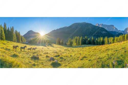 Sonnenaufgang auf der Brandlealm im Karwendelgebirge - Almpferde - Seitenverhältnis 2,5:1 - Brandlealm - weitere Infos unter https://www.kriner-weiermann.de