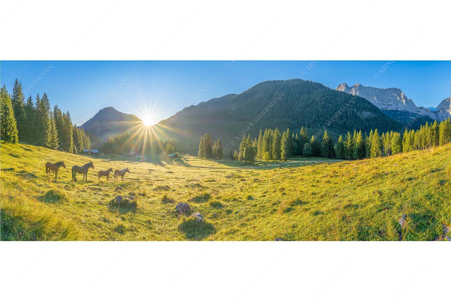 Sonnenaufgang auf der Brandlealm im Karwendelgebirge - Almpferde - Seitenverhältnis 2,5:1 - Brandlealm - weitere Infos unter https://www.kriner-weiermann.de