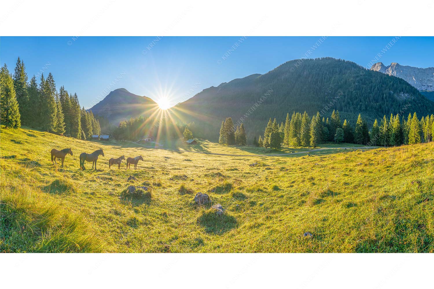 Almpferde – Seitenverhältnis 2:1 — Brandlealm Sonnenaufgang auf der Brandlealm im Karwendelgebirge