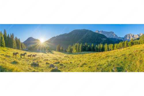 Sonnenaufgang auf der Brandlealm im Karwendelgebirge - Almpferde - Seitenverhältnis 3:1 - Brandlealm - weitere Infos unter https://www.kriner-weiermann.de