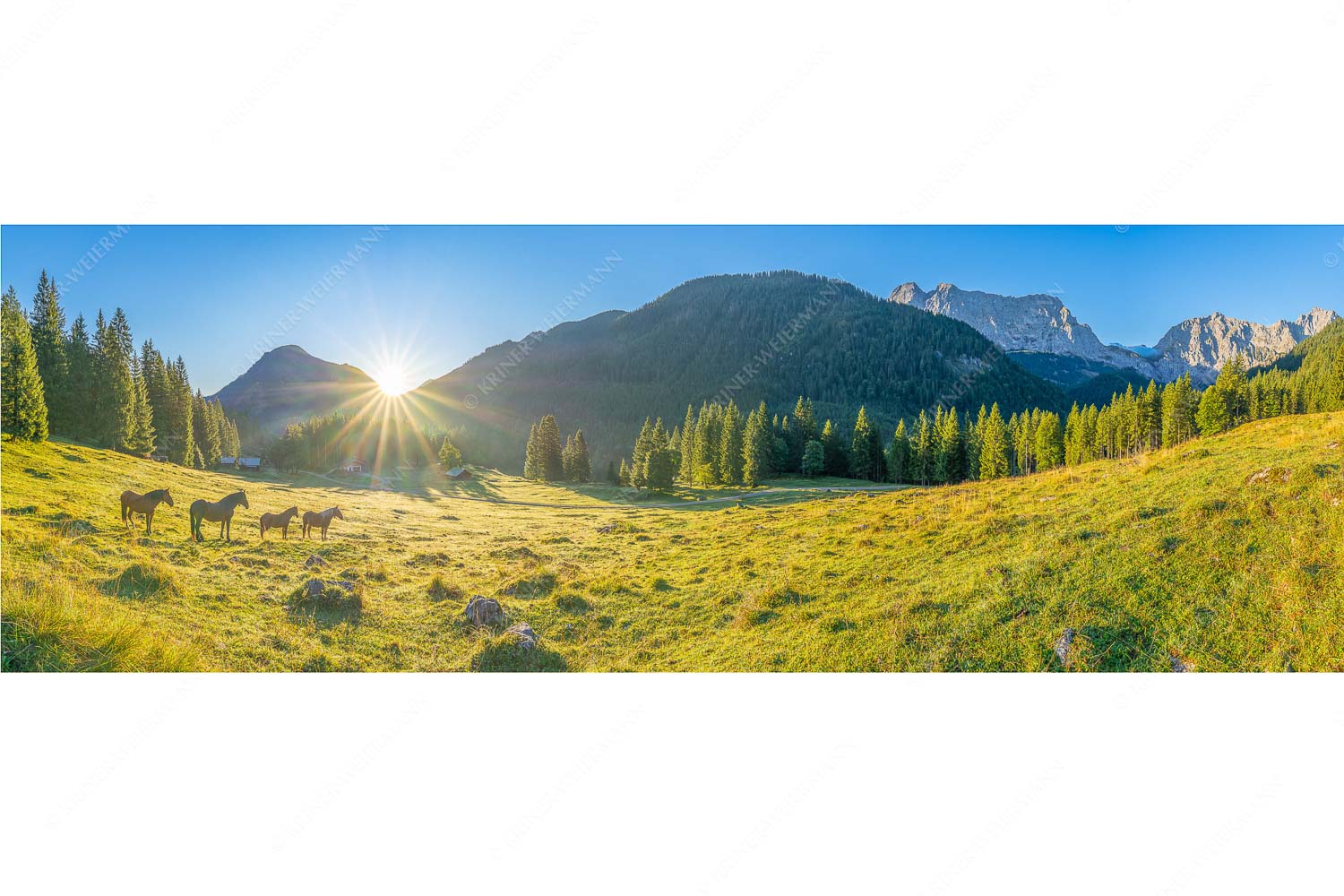 Almpferde – Seitenverhältnis 3:1 — Brandlealm Sonnenaufgang auf der Brandlealm im Karwendelgebirge