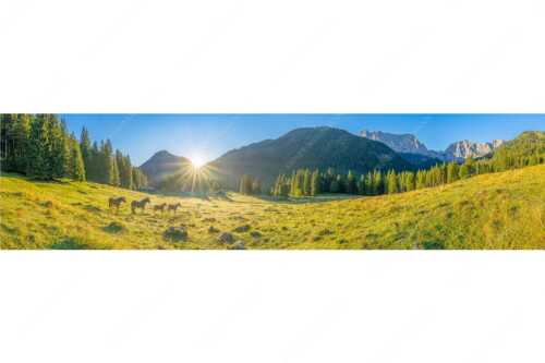 Sonnenaufgang auf der Brandlealm im Karwendelgebirge - Almpferde - Seitenverhältnis 4:1 - Brandlealm - weitere Infos unter https://www.kriner-weiermann.de