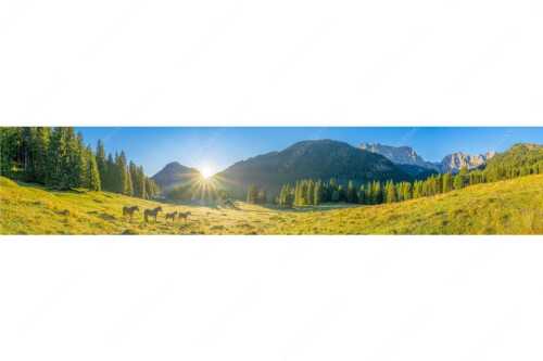 Sonnenaufgang auf der Brandlealm im Karwendelgebirge - Almpferde - Seitenverhältnis 5:1 - Brandlealm - weitere Infos unter https://www.kriner-weiermann.de