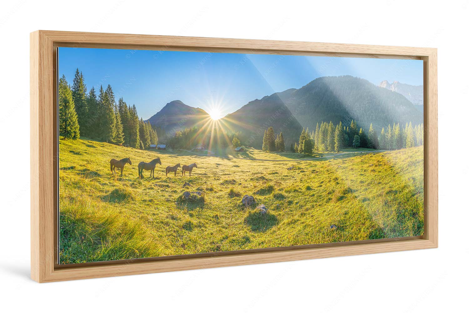 Almpferde – Foto im Schattenfugen-Rahmen, Seitenverhältnis 2:1 — Brandlealm Sonnenaufgang auf der Brandlealm im Karwendelgebirge - Almpferde - Foto im Schattenfugen-Rahmen, Seitenverhältnis 2:1 - Brandlealm - weitere Infos unter https://www.kriner-weiermann.de