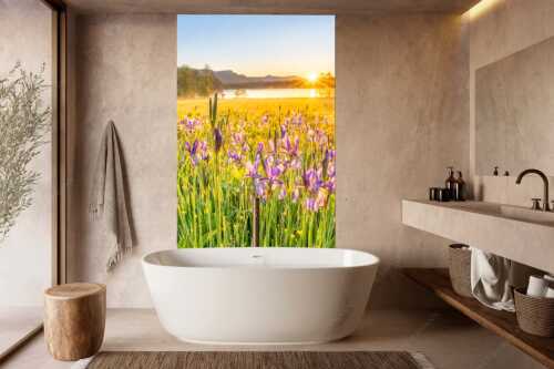 Schwertlilien im Sonnenaufgang im Oberen Isartal - Augenweide - Wandbild - Größe ca. 160x240cm, Seitenverhältnis 2:3 - Schwertlilien Iris am Barmsee - weitere Infos unter https://www.kriner-weiermann.de