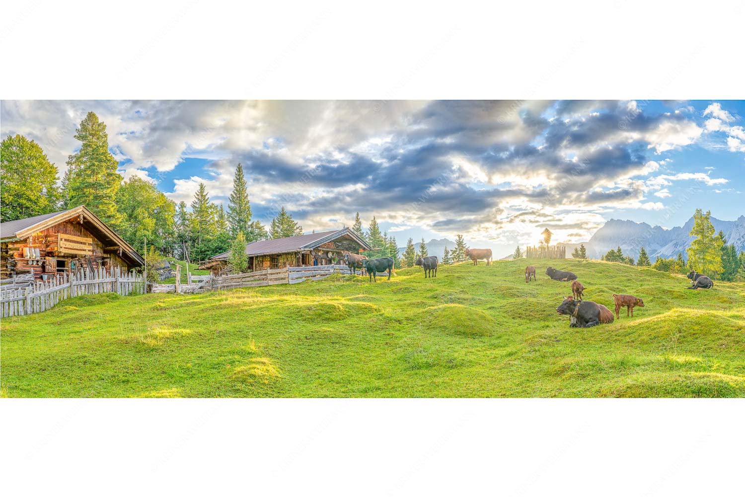 Friedliche Almwiese bei Mittenwald mit Karwendel im Morgenlicht - Oimarisch - Seitenverhältnis 2,5:1 - Mittenwald Buckelwiesen Alm - weitere Infos unter https://www.kriner-weiermann.de