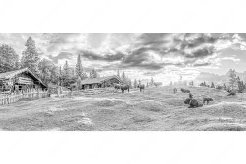 Friedliche Almwiese bei Mittenwald mit Karwendel im Morgenlicht - Oimarisch - Seitenverhältnis 2,5:1 - Mittenwald Buckelwiesen Alm - weitere Infos unter https://www.kriner-weiermann.de