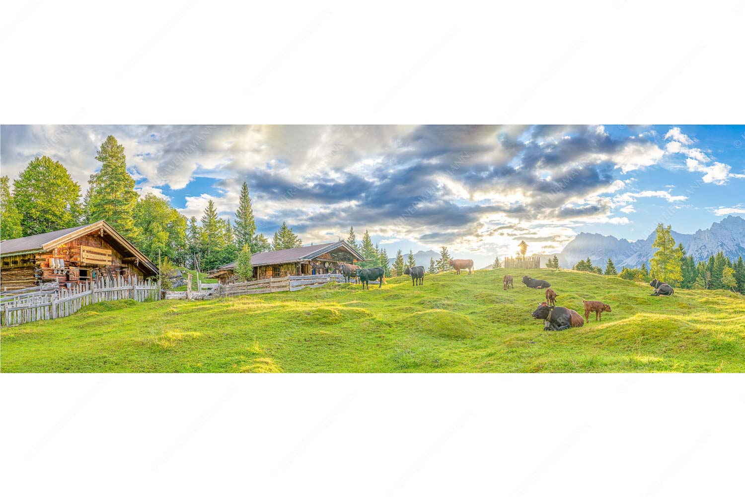 Friedliche Almwiese bei Mittenwald mit Karwendel im Morgenlicht