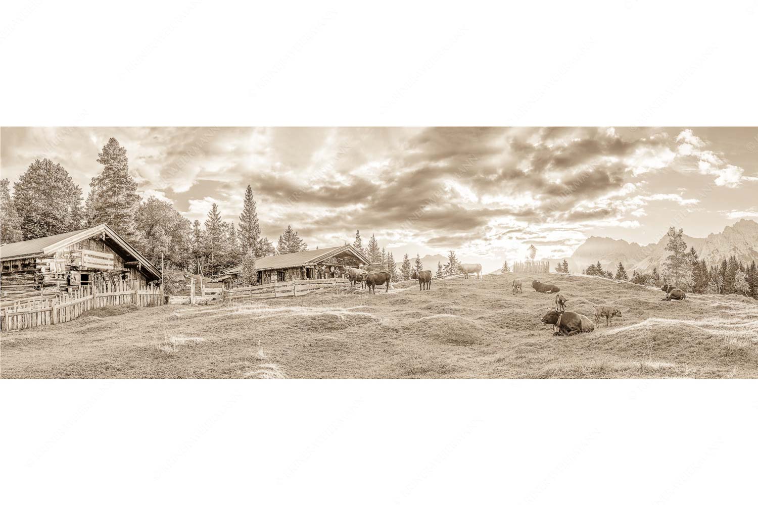 Friedliche Almwiese bei Mittenwald mit Karwendel im Morgenlicht